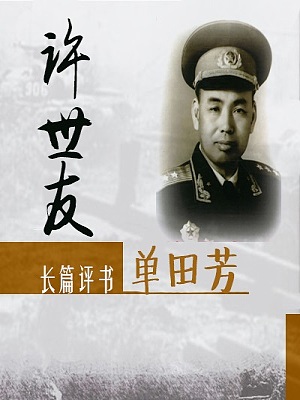 少林将军许世友(100回)